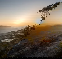 Photowalk with Jon Harris Photography - Nature Photography - Restaurant Gold Coast