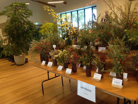Pomonal Native Flower Show - Restaurant Gold Coast 2
