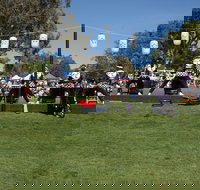 Sakura Matsuri  - Cherry Blossom Festival - in doubt due to Covid-19 - Restaurant Gold Coast