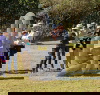 Sculpture for Clyde - Outdoor Exhibition - Restaurant Gold Coast