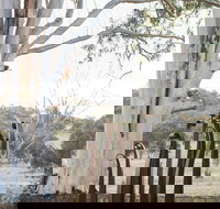 Sculptures in the Garden - Restaurant Gold Coast