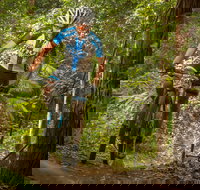 Shimano MTB Grand Prix Race  Awaba - Restaurant Gold Coast