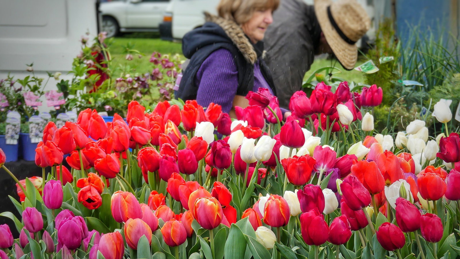 Mount Pleasant SA Restaurant Gold Coast