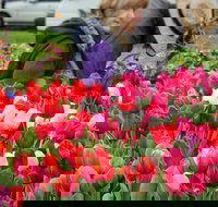 Spring Fling - Restaurant Gold Coast