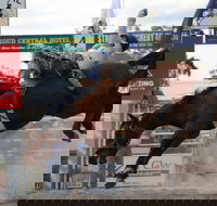 Stroud Rodeo and Campdraft - Restaurant Gold Coast