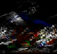 Summer  Family Nature Camp - Restaurant Gold Coast