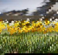 Sunday at Cruden Farm - Restaurant Gold Coast