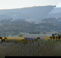 Tumut Cycle Classic - Restaurant Gold Coast