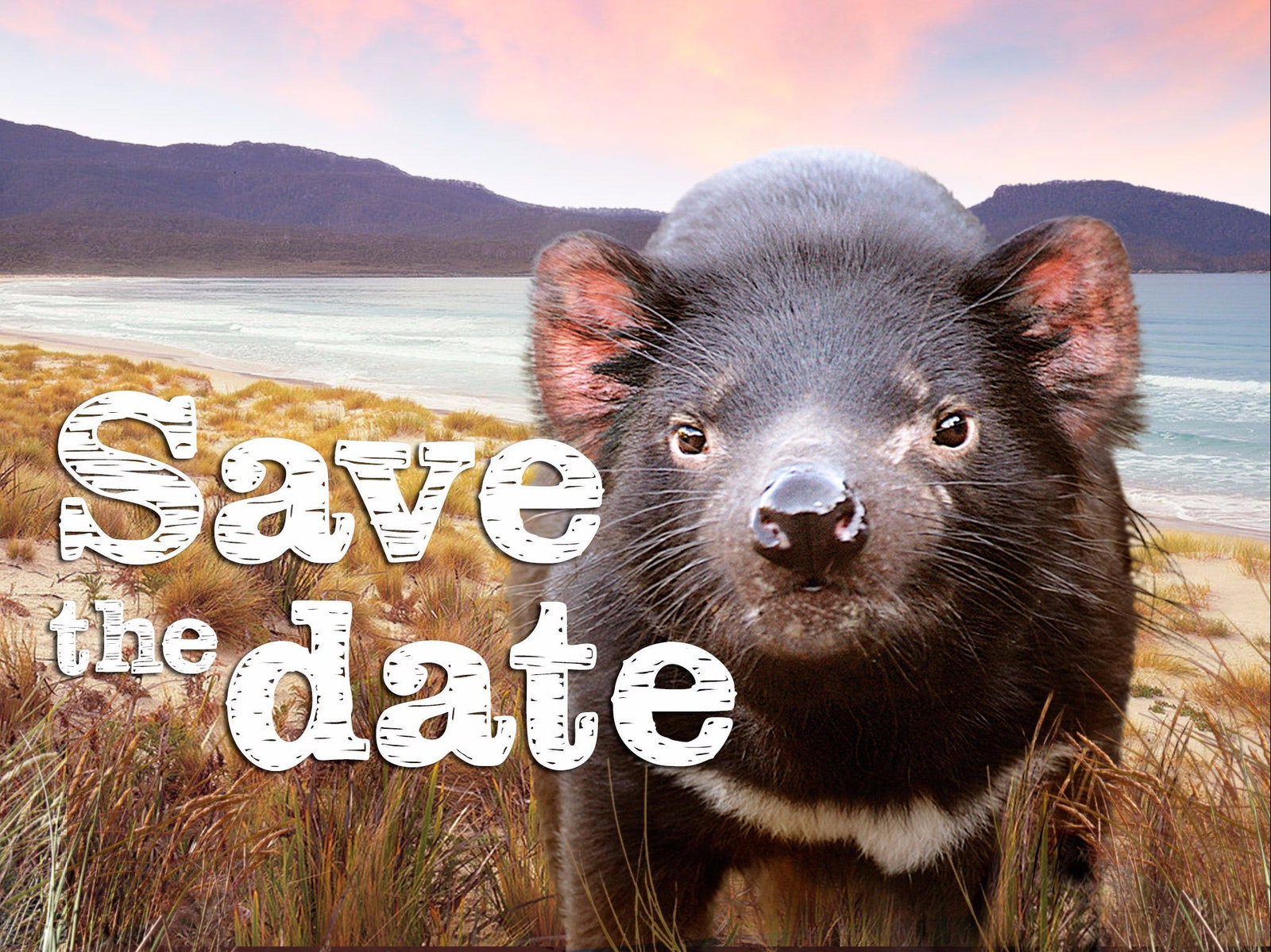 Mount Seymour TAS Restaurant Gold Coast