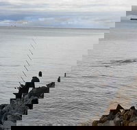 Whale Watching in Portland - Restaurant Gold Coast