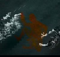 Wolfgangs Magical Musical Circus - Restaurant Gold Coast