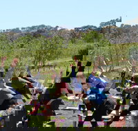 Yoga in the Vines