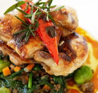Stella Italian Kitchen  Pizzeria - Restaurant Gold Coast