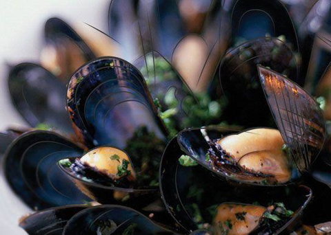 Peppermint Bay - Bar, Dining And Terrace - Restaurant Gold Coast 6