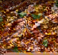 Pizza D'oh - Restaurant Gold Coast