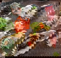 Toshi's Japanese Restaurant - Restaurant Gold Coast