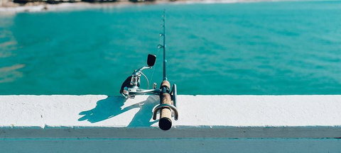 The Parkhouse Cafe - Restaurant Gold Coast 2