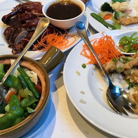 Turtle Den Chinese Restaurant