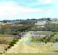 Main Ridge Harvest - Restaurant Gold Coast