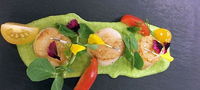 Cafe Amphora