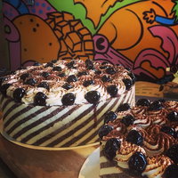 Gusto Gelateria and Pastry