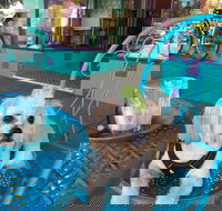 Amber Sweet Bliss - Restaurant Gold Coast