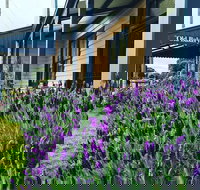 Dunkeld Old Bakery - Restaurant Gold Coast