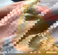 Coleraine Milk Bar - Restaurant Gold Coast