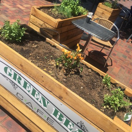 Green Bean Cafe - Restaurant Gold Coast 0