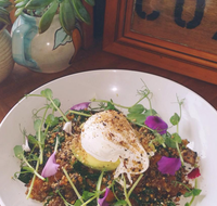 The Shak Organic Cafe  Wine Bar - Restaurant Gold Coast