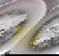 Hampden Deli Dining and School - Restaurant Gold Coast