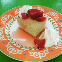 The Terrace Tea Shop