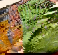 Lone Pine Tavern - Restaurant Gold Coast