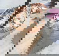 Evviva Cafe  Bar - Restaurant Gold Coast