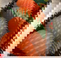 Sushi In - Restaurant Gold Coast