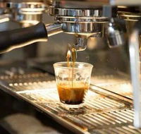 Black Bear Cafe - Restaurant Gold Coast