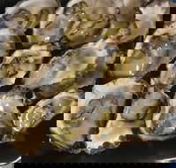Armstrongs Oysters - Restaurant Gold Coast