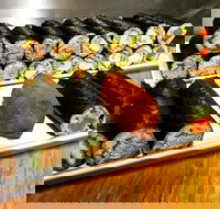 Freewave Sushi  Burgers - Restaurant Gold Coast