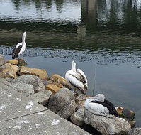 Saltwater Seafoods - Restaurant Gold Coast