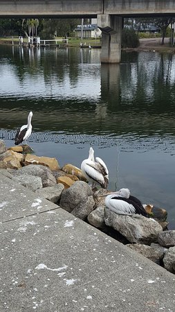 Saltwater Seafoods - Restaurant Gold Coast 0