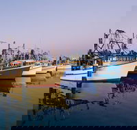 Clarence River Fishermen's Co-Operative - Restaurant Gold Coast