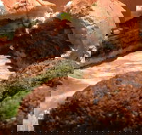 Familiar Takeaway - Restaurant Gold Coast