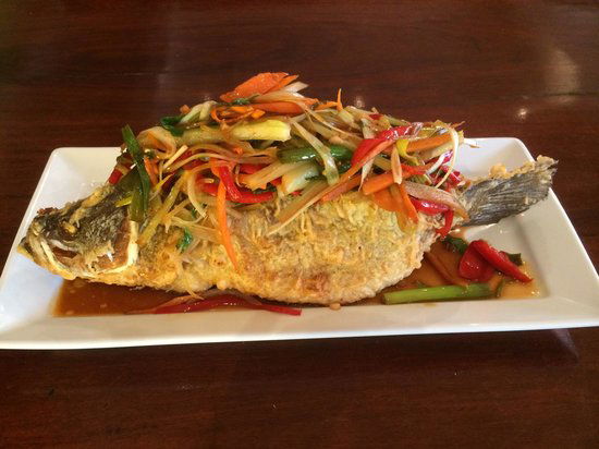 Yarrawa NSW Restaurant Gold Coast