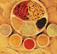 Tehzeeb Indian and Australian Restaurant - Restaurant Gold Coast