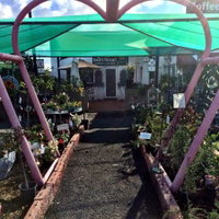 Gilgandra Takeaway and Gilgandra Restaurant Gold Coast Restaurant Gold Coast
