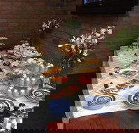 Colony Inn Hotel - Restaurant Gold Coast