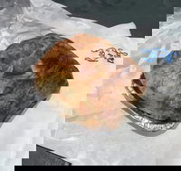 Country Kitchen Gourmet Pies - Restaurant Gold Coast