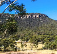 The Lolly Bug - Restaurant Gold Coast