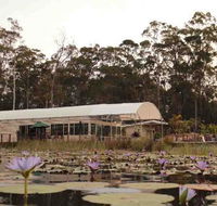 Abundance Cafe and Garden Centre - Restaurant Gold Coast