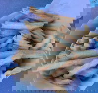 Kippy's - Restaurant Gold Coast